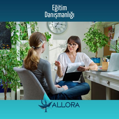 Eğitim Danışmanlığı